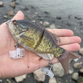 Gill Glide – 5.75" Bluegill Glide Bait for Bass Fishing
